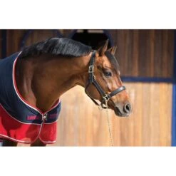 Rambo Sport Cooler - Navy/Red/Grey