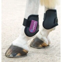 Shires ARMA Fetlock Boots - Black/Plum