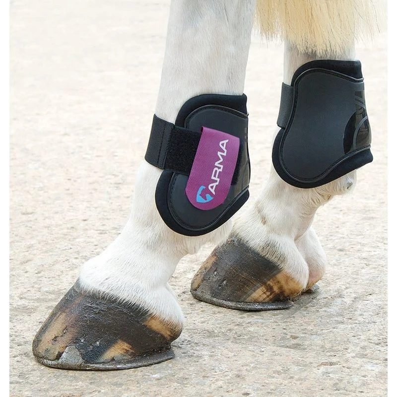 Shires ARMA Fetlock Boots - Black/Plum 3 Shires ARMA Fetlock Boots - Black/Plum