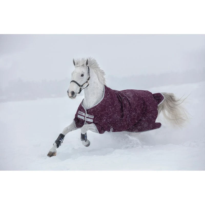 Amigo Hero Ripstop 200g - Fig/Silver 3 Amigo Hero Ripstop 200g - Fig/Silver