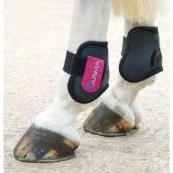 Shires ARMA Fetlock Boots - Black/Raspberry