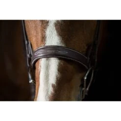 Pessoa PRO Fancy Stitched Wide Noseband Bridle - Dark Brown -Horse Tack Supplies 330155 800 800
