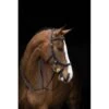 Rambo Micklem Original MultiBridle - Black -Horse Tack Supplies 330912 800 800