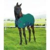 Weatherbeeta 1200D Foal Standard Neck Medium II Turnout - Hunter/Navy -Horse Tack Supplies 347002 800 800