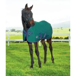 Weatherbeeta 1200D Foal Standard Neck Medium II Turnout - Hunter/Navy