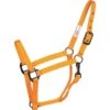Western Rawhide SignatureFashion Halter W/Black Nickel Finish Hardware - Marigold