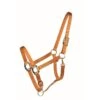Western Rawhide Country Legend Soft-Touch Halter - Mustard