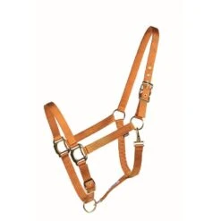 Western Rawhide Country Legend Soft-Touch Halter - Mustard