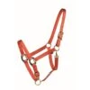 Western Rawhide Country Legend Soft-Touch Halter - Burnt Orange