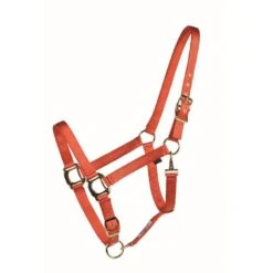Western Rawhide Country Legend Soft-Touch Halter - Burnt Orange