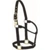 Western Rawhide Signature Classic Halter - Black -Horse Tack Supplies 360599 800 800
