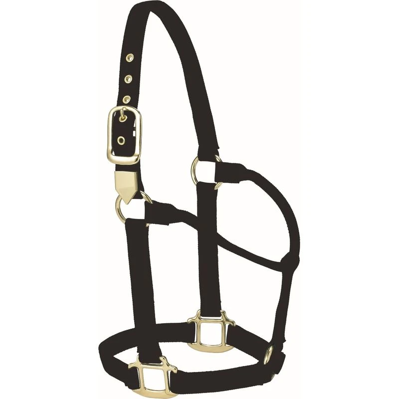 Western Rawhide Signature Classic Halter - Black 3 Western Rawhide Signature Classic Halter - Black