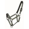 Western Rawhide Country LegendDesigner Padded Halter - Hunter/Mint -Horse Tack Supplies 360605 800 800