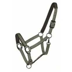 Western Rawhide Country LegendDesigner Padded Halter - Hunter/Mint