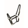 Western Rawhide Country Legend Soft-Touch Halter - Black -Horse Tack Supplies 360635 800 800