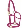 Western Rawhide Signature Classic Halter - Fuchsia 1 Western Rawhide Signature Classic Halter - Fuchsia -Horse Tack Supplies 360679 800 800