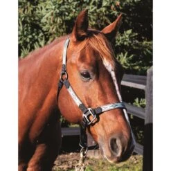 Western Rawhide Signature Pattern Halter - Black/Rhombus -Horse Tack Supplies 360707 800 800