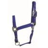 Western Rawhide Signature Classic Halter W/Snap - Blue -Horse Tack Supplies 360829 800 800