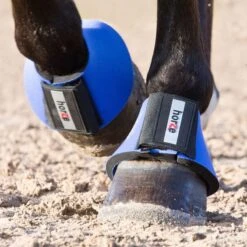 Horze Pro Bell Boots - Blue -Horse Tack Supplies 377031 800 800