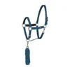 Horze Chicago Halter And Lead Rope - Lagoon Blue/Aegean Blue -Horse Tack Supplies 386492 800 800