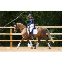 Horse Tack Supplies -Horse Tack Supplies 389089 800 800