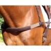 Nunn Finer Jumper Breastplate - Havana/Brass -Horse Tack Supplies 400271 800 800