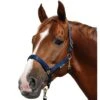 Bucas Dublin Halter - Navy -Horse Tack Supplies 400283 800 800