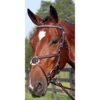 Nunn Finer Figure 8 Clincher Browband Padded Event Bridle - Havana/Zinc -Horse Tack Supplies 400373 800 800