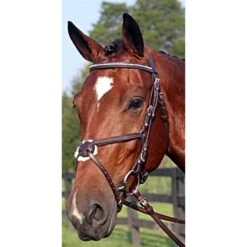 Nunn Finer Figure 8 Clincher Browband Padded Event Bridle - Havana/Zinc