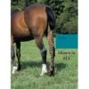 Jammies Three Piece Tail Wrap - Teal -Horse Tack Supplies 402348 800 800