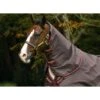 Amigo Hood 0g - Brown/Red/Gold/Red 2 Amigo Hood 0g - Brown/Red/Gold/Red -Horse Tack Supplies 402671 800 800