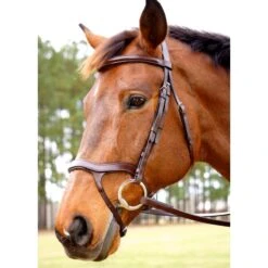 Nunn Finer Innovativo Shaped Bridle - Havana -Horse Tack Supplies 403641 800 800