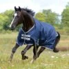 Bucas Freedom Medium Turnout - Navy 1 Bucas Freedom Medium Turnout - Navy -Horse Tack Supplies 403988 800 800