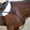 Nunn Finer 5-Way Hunting Breastplate With Elastic - Havana/Brass -Horse Tack Supplies 405448 800 800