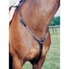 Nunn Finer Elastic Hunting Breastplate - Havana/Brass 1 Nunn Finer Elastic Hunting Breastplate - Havana/Brass -Horse Tack Supplies 406142 800 800
