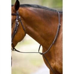 Nunn Finer Standing Martingale - Black/Brass -Horse Tack Supplies 407361 800 800
