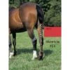 Jammies Three Piece Tail Wrap - Red -Horse Tack Supplies 408118 800 800