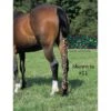Jammies Three Piece Tail Wrap - Neon Leopard -Horse Tack Supplies 408305 800 800