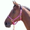 Shires Topaz Leather Breakaway Nylon Halter - Raspberry -Horse Tack Supplies 411900 800 800
