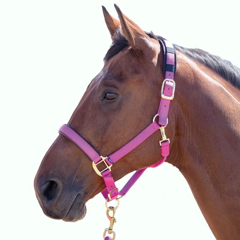 Shires Topaz Leather Breakaway Nylon Halter - Raspberry 3 Shires Topaz Leather Breakaway Nylon Halter - Raspberry