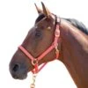 Shires Topaz Leather Breakaway Nylon Halter - Orange -Horse Tack Supplies 412026 800 800