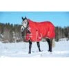 Weatherbeeta Comfitec Classic Combo Neck Heavy - Red/Silver/Navy -Horse Tack Supplies 412609 800 800