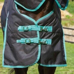 Weatherbeeta Green-Tec 900D Detach-A-Neck Heavy Turnout Blanket - Black/Bottle Green -Horse Tack Supplies 412780 800 800
