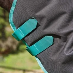 Weatherbeeta Green-Tec 900D Detach-A-Neck Heavy Turnout Blanket - Black/Bottle Green -Horse Tack Supplies 412781 800 800