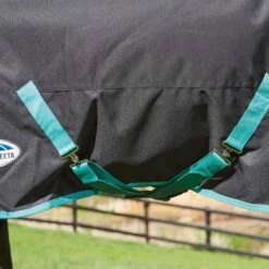 Weatherbeeta Green-Tec 900D Detach-A-Neck Heavy Turnout Blanket - Black/Bottle Green -Horse Tack Supplies 412782 800 800