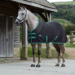 Weatherbeeta Fleece Cooler Standard Neck - Black/Green