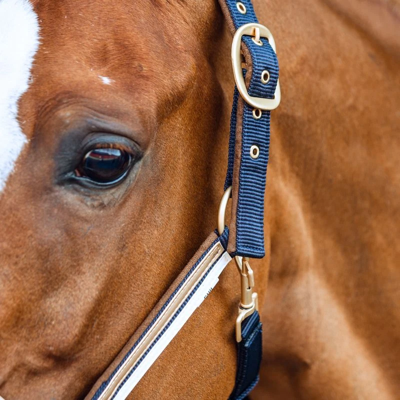 Horze Montauk Halter - Night Dark Blue 4 Horze Montauk Halter - Night Dark Blue - Image 2