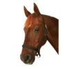 Roma Everyday Headcollar - Black -Horse Tack Supplies 417888 800 800
