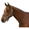Roma Breakaway Neoprene Padded Headcollar & Lead Set - Navy/Silver -Horse Tack Supplies 418882 800 800