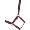 Catago Catago Attitude Halter - Red -Horse Tack Supplies 422184 800 800